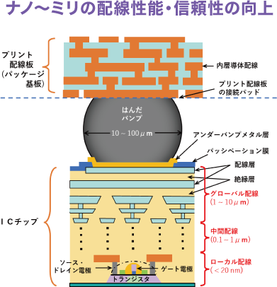 ICAT共同研究講座　小池研究室